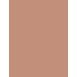L'Oréal Paris True Match Nude  30Ml 3-4 Light-Medium  Plumping Tinted Serum For Woman (Makeup)