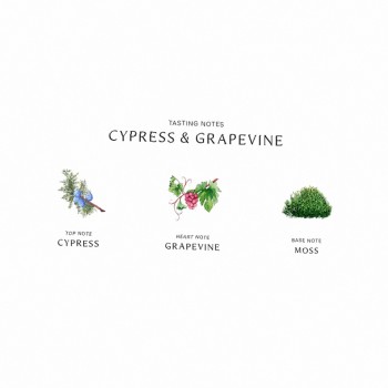 Jo Malone Cypress & Grapevine 100Ml    (Eau De Cologne) Unisex  