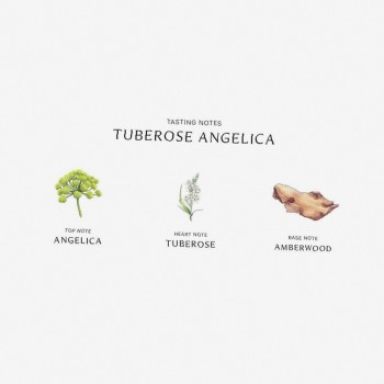 Jo Malone Tuberose Angelica 100Ml    (Eau De Cologne) For Women  