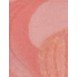 Sisley Palette Orchidee   15G Corail   For Woman (Blush)
