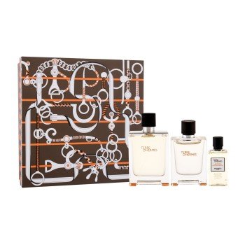 Hermes Terre D´Hermes  Edt 100Ml + 5Ml Edt + 40Ml Shower Gel 100Ml    For Man (Eau De Toilette)