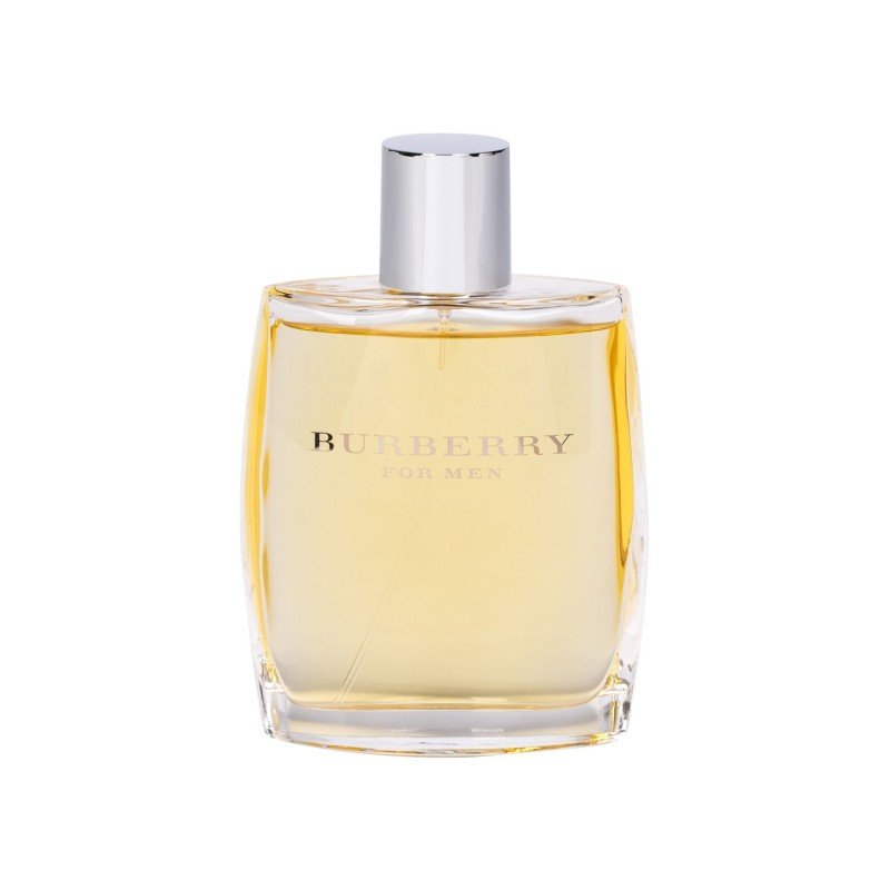 Burberry For Men   100Ml    For Man (Eau De Toilette)