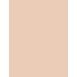 Bourjois Paris Always Fabulous 24H  30Ml 105 Natural Ivory  Spf20 For Woman (Makeup)