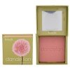 Benefit Dandelion Brightening Blush 6G  For Woman  (Blush)  Baby-Pink